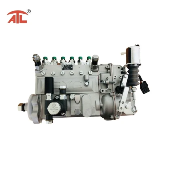 Pompe d'injection de carburant (10402376191) pour moteur Sazan
